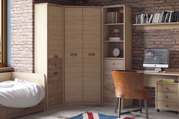 Фото Шкаф 2D1S/D1 Дизель (Diesel) от производителя Анрэкс в Алупке по цене 16 500 ₽