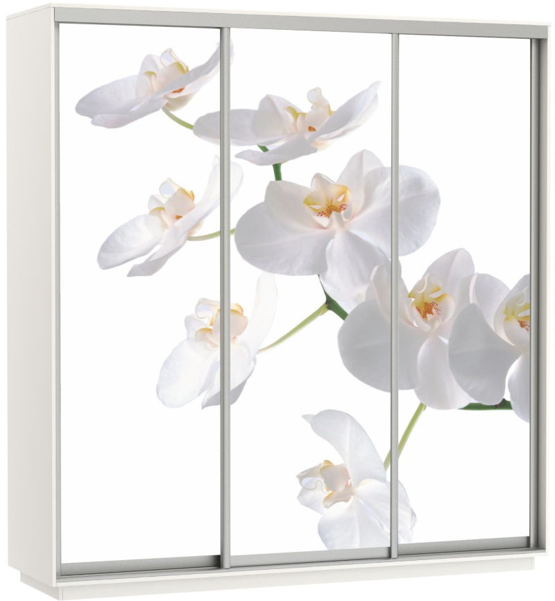 Фото Шкаф-купе Экспресс Трио Фото (2,4х0,6х2,4 - 3 двери) от производителя Мебельная компания Е1 в Алупке по цене 63&nbsp;870 ₽