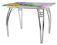 Фото stoly-obedennye-neraskladnye стол обеденный паук (прямоугольный)  производитель Кристалл