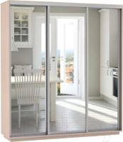 Фото shkaf-kupe-v-prikhozhuyu шкаф-купе экспресс трио экспенс (1,8х0,6х2,2 - 3 двери) производитель Мебельная компания Е1